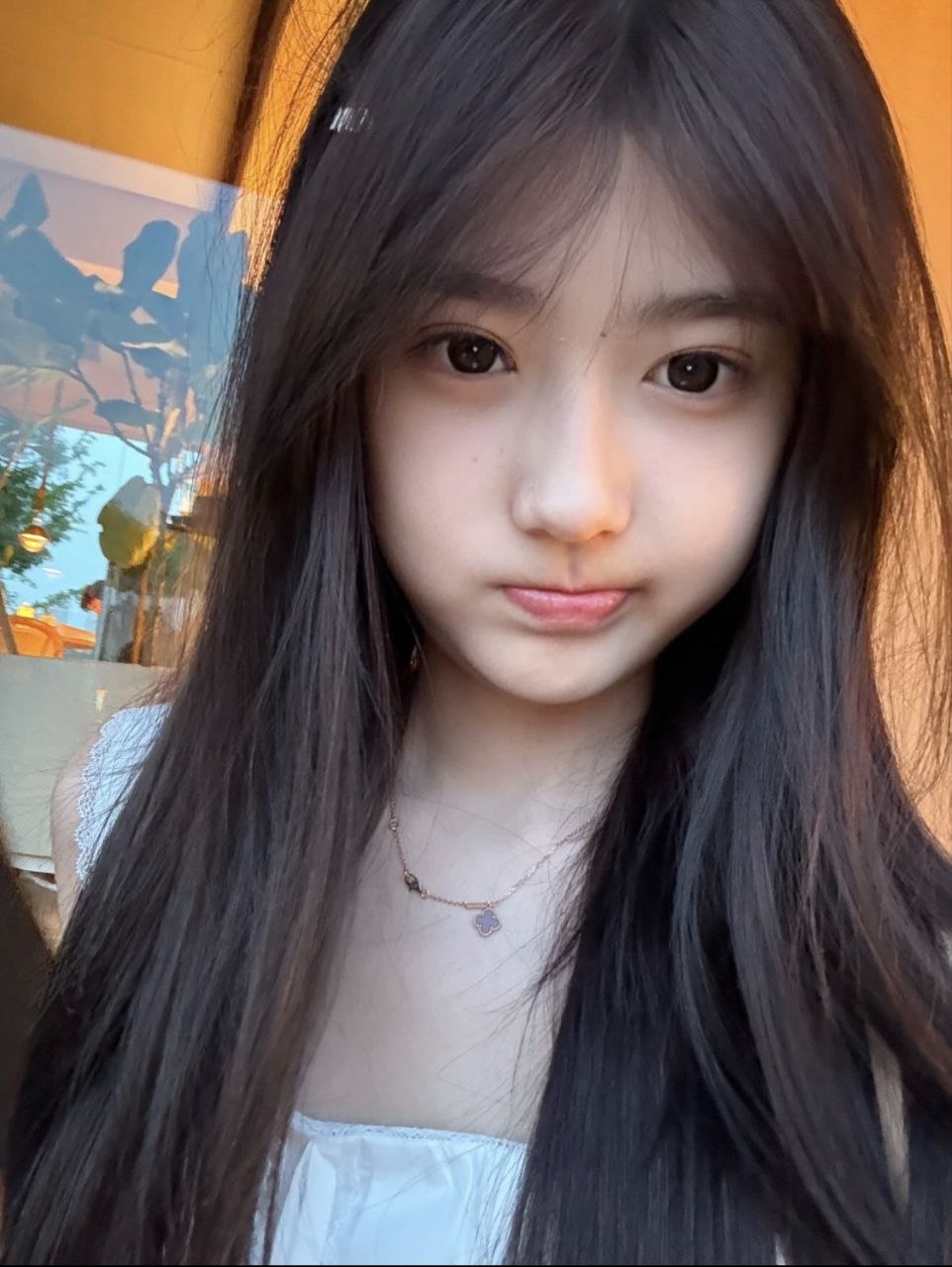 Xinxin